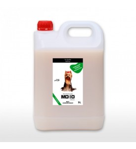Champú Yorkshire Terrier