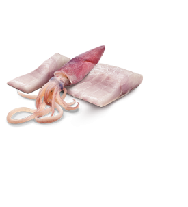 Lubina y calamares húmedos