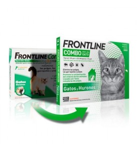 Frontline Combo Spot On Gatos
